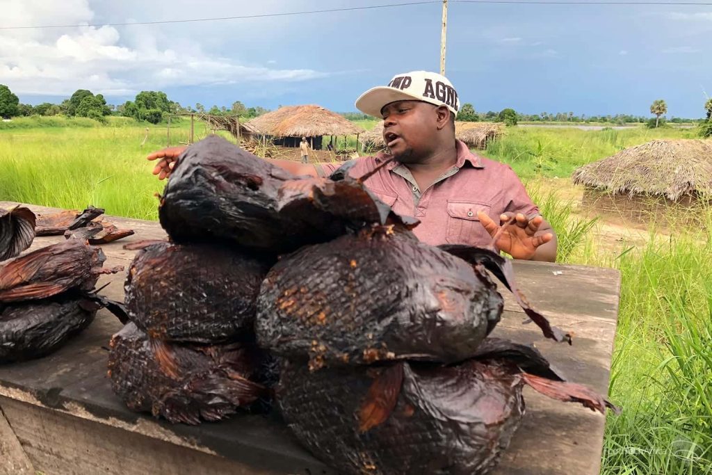 FoodTechAfrica Tanzania Catfish Sold Allong The Road