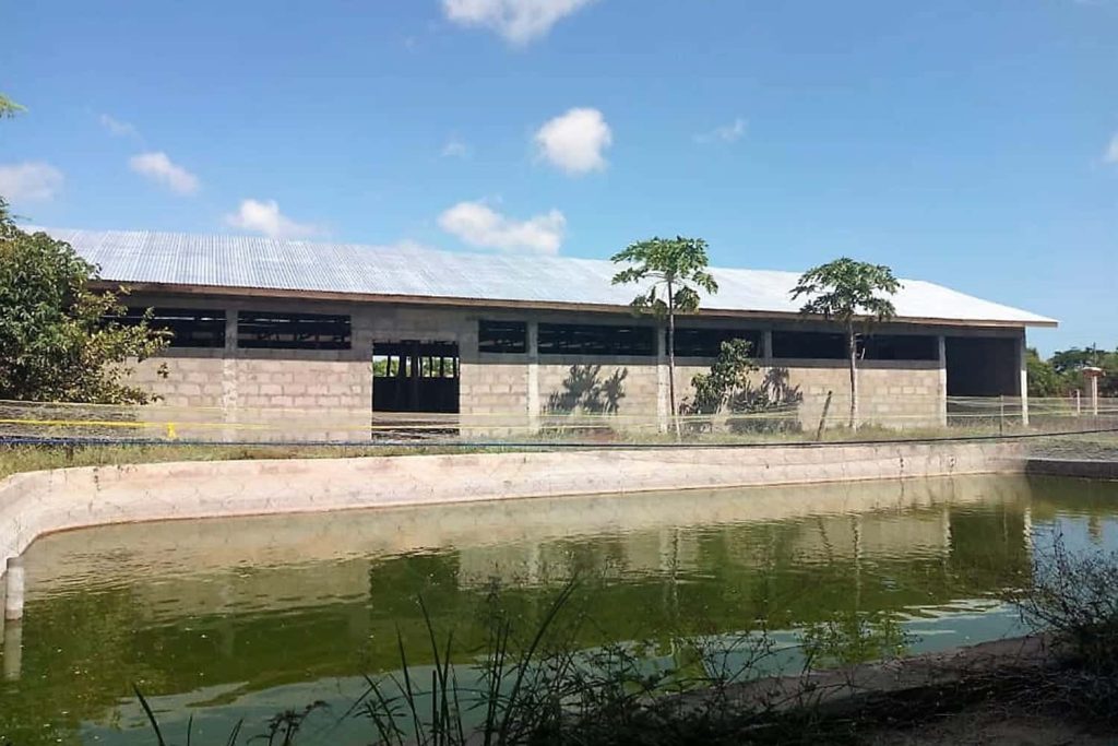 Riga’s Safina’s BigFish farm in Dar Es Salaam