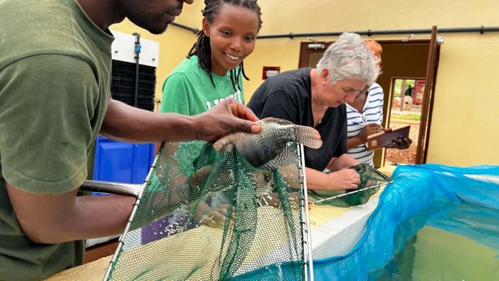 Picture1 Gishanda Fish Farm Becomes A National Learning Hub For The Aquaculture Sector