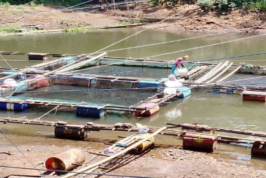 Aquaculture in South East Asia - Cage system
