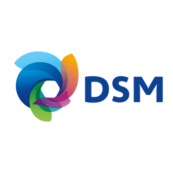 DSM