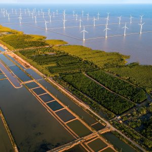 Van Oord Mangrove restoration business plan Vietnam